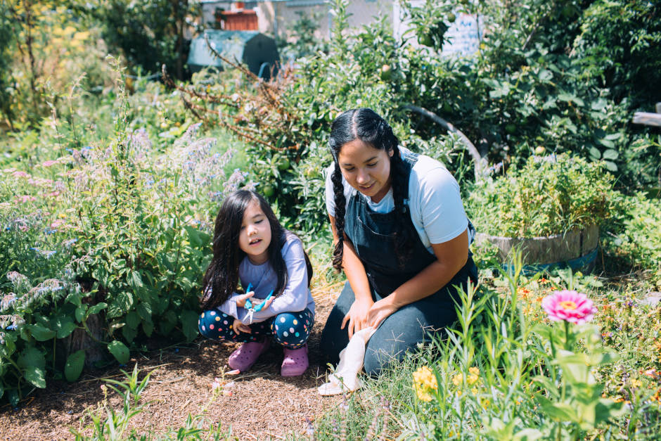 Ashby_Community_Garden