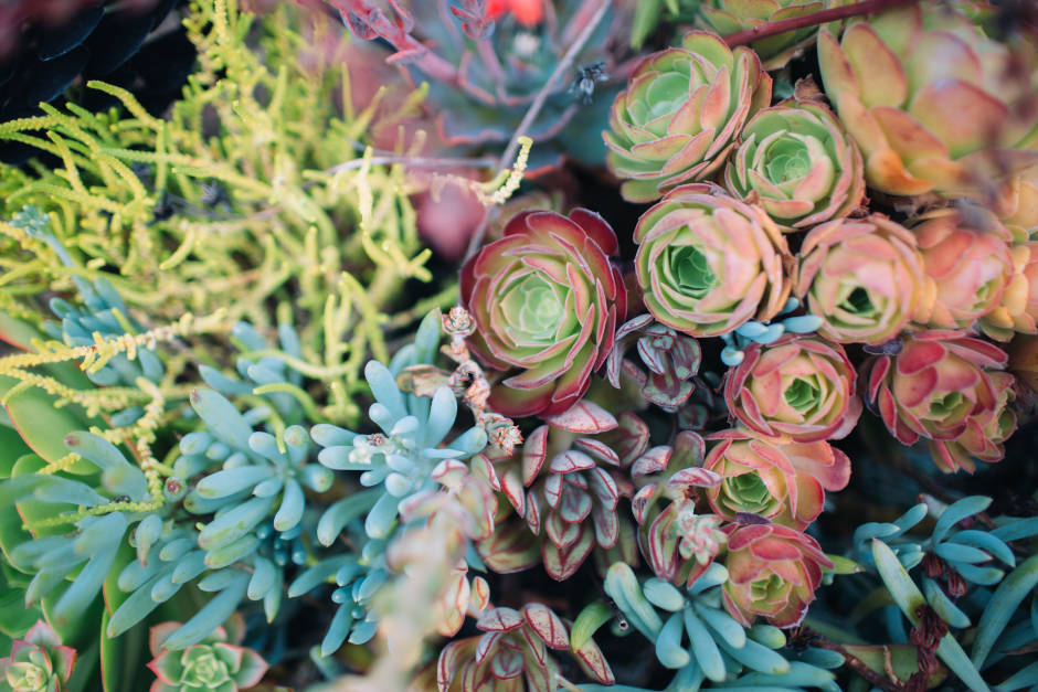 PLACE_for_sustainable_living