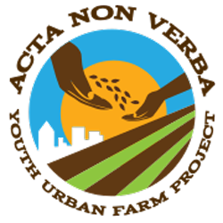 ANV logo